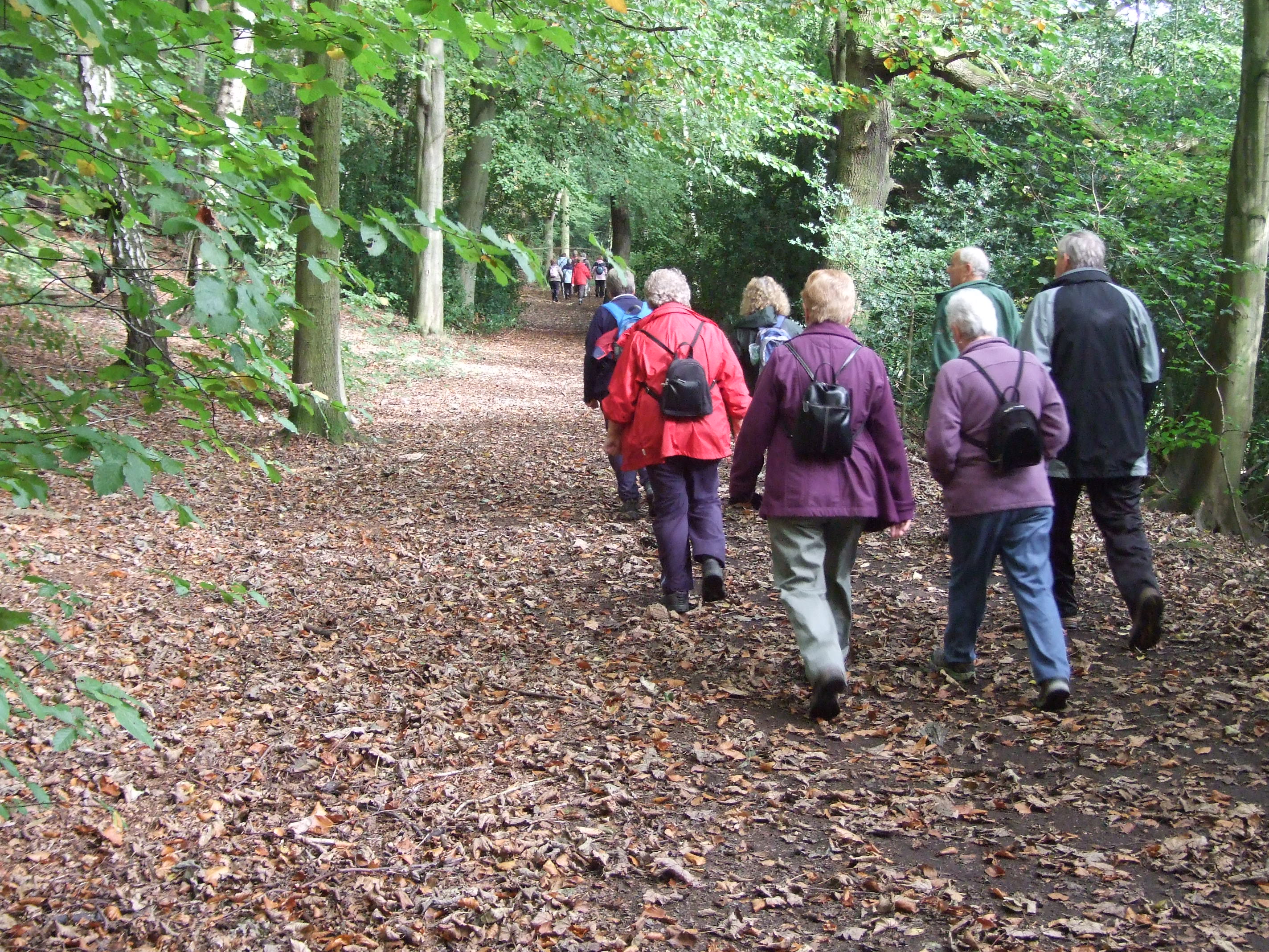 Picture of people on Health Walk